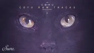 Coyu - Running In Circles (Coyu Raw Mix) [Suara]