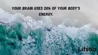 Your brain uses 20% of your body's energy