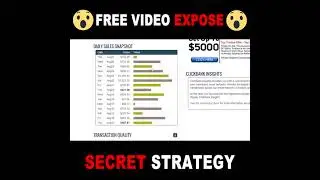 12 Minute Affiliate System