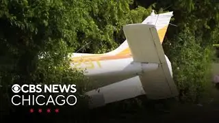 Chicago area neighbors shocked to see small plane crash near them