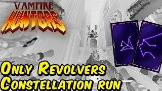 Running a Brotato Build in Vampire Hunters!?