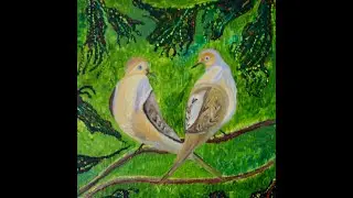 Mourning Doves