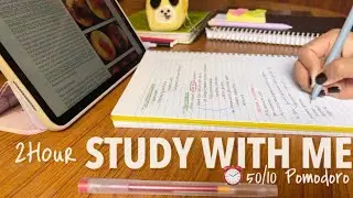 2-Hour Study With Me | Calming piano🌻| Medical student | Surgery💉