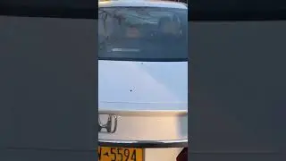Zip car hit and run