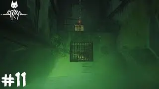 Stray Part 11 Jail | Max Graphics (1080p60FPS)