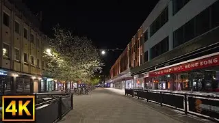 Calm city night walk in the streets of V&auml;xj&ouml; - 4K City Walking Sweden