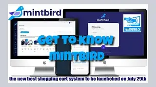 mintbird Launch Annoncement
