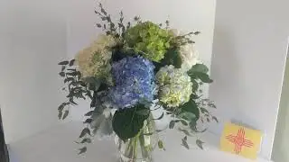 Send Hydrangea Flowers near Albuquerque NM