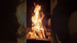 Bonfire🔥​| Amber Dale #munnar #night #vibes