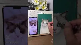 Custom cat portrait by photo, pet memorial, painting process videos
