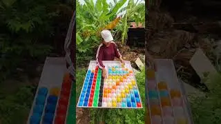 Cognitive Performance Development Through Fast Paced Color Ball Games