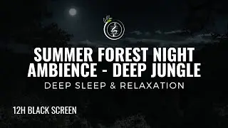 12 Hours  Deep Jungle & Summer Forest Night Ambience 🌌🦜  Sleep, Relax, Meditation Black Screen