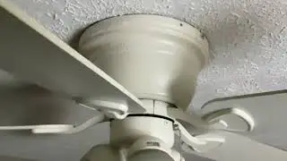 Shaking fan 2
