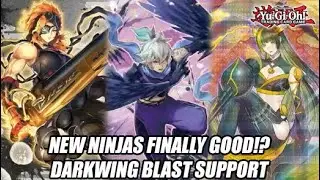 New Ninjas Finally Good!? Yu-Gi-Oh! Darkwing Blast Support!