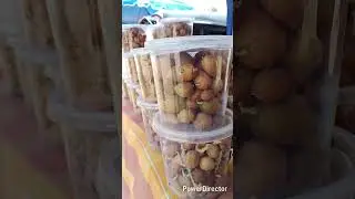 Amazing Potato seeds Sri lanka #farming #potato #agriculture