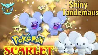 Pokemon Scarlet ~ Insane Shiny Tandemaus and Maushold Evolution! | Autobattle Hunt [Nintendo Switch]