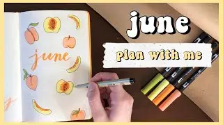 PLAN WITH ME: June 2020 bullet journal set up
