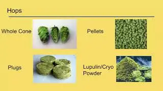 3 Ways to Use Hops When Brewing Beer