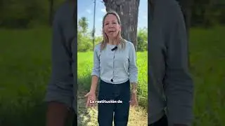 ENTREGA PROVISIONAL DEL PREDIO LA COMUNA