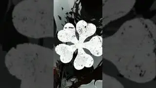 21022 翅膀