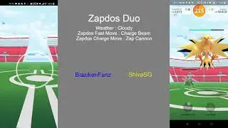 2 Super Beedrills : Zapdos Duo