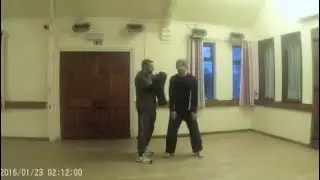 Wing Chun & Tai Chi Short Range Power