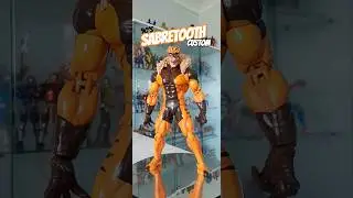 1990's Jim Lee Sabretooth Storm Collectibles