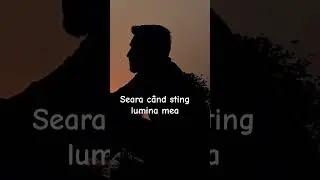 #viral #sad #foryou #music #sound #fy #diaspora #travel #strainatate #romania #like #mama w