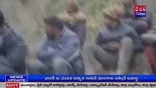 Wood Smugglers Was Caught In Kulu, Himachal Pradesh@DESHAMTV NEWS