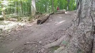 Tree farm MTB trail in Novi, Michigan