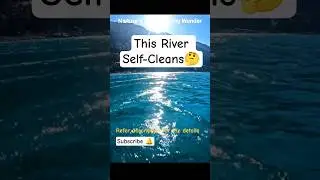 Why Ganga Never Dies | The River That Cleans Itself 🌊🤔 #ganga #river #facts #unkownfacts #shortsfeed