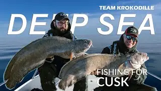 Deep Sea Fishing for Cusk