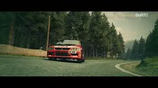 Evo 9 in the woods | DiRT 3
