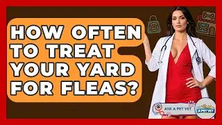 How Often To Treat Your Yard For Fleas? - Ask A Pet Vet
