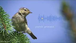 Chiff chaff generated call