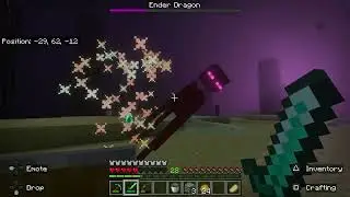 Ender Dragon Boss Fight Solo - Minecraft