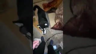 絶対に負けられないバトル🔥