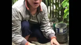 Plant-Plant Interactions