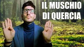 I PROFUMI DEL BOSCO - IL MUSCHIO DI QUERCIA