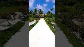 Pathway to Paradise in the Maldives 🌴✨ #Maldives #ParadiseIsland #TropicalVibes