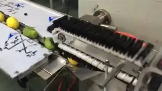 Lemon packaging machine,Lemon packing machine