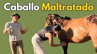Si el caballo está en estrés, no aprende: trabajo con Cruz Lucero