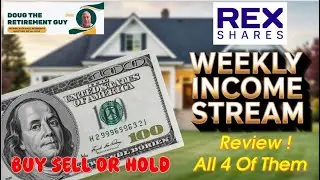 Rex Shares Weekly ETFs Performance & Strategy Breakdown Hidden Dangers of Taking Risks