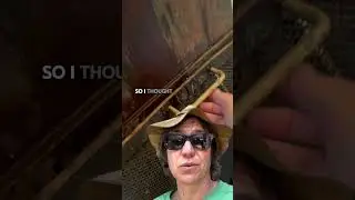 Selling my Reno House - I forgot a LEAK!