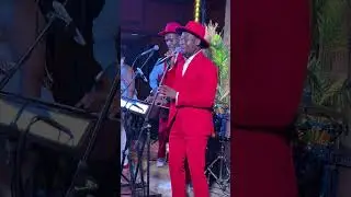 13.12.2024 live - Black Impact Music на корпоратив. отель Аэростар, Москва part 1