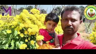 Miruss Organic Agriculture products 