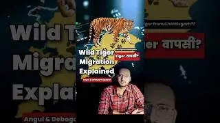 Tiger Tracking in Odisha| Tiger Migration Explained|Angul & Debagarh News|Tiger Mystery Chhattisgarh