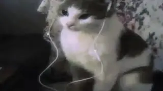 Мой влог