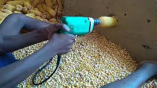 CORN SEEDS REMOVING 😎😎 IN EASIEST WAY