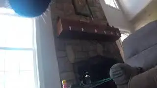 GoPro Camera on my German Shepheard Service Dog left home alone